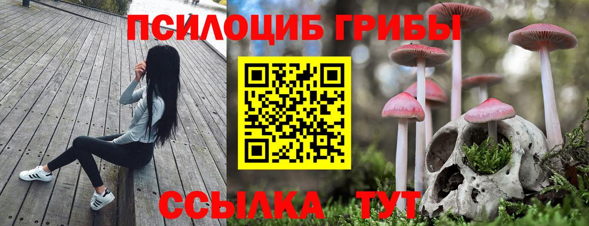 Петрозаводск  Псилоцибиновые грибы Cubensis  что такое наркотик  Вход с VPN 